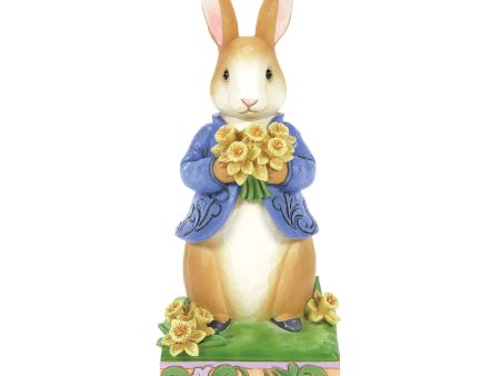 Peter Rabbit with Daffodils Online Hot Sale