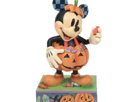 Mickey Pumpkin Costume Sale