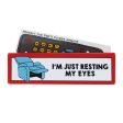 Resting Eyes Plaque  Container Supply