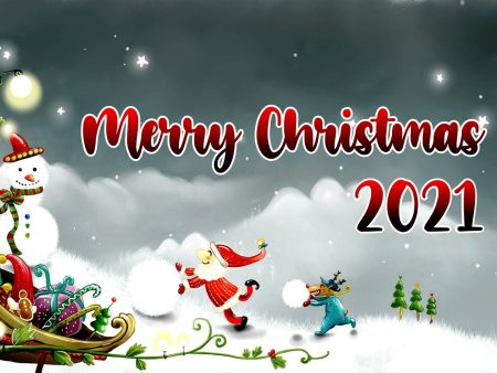 PSI Christmas Theme Backdrop - 04 For Sale