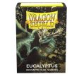 Dragon Shield - Matte Dual Sleeves: Eucalyptus Green (100ct) For Cheap